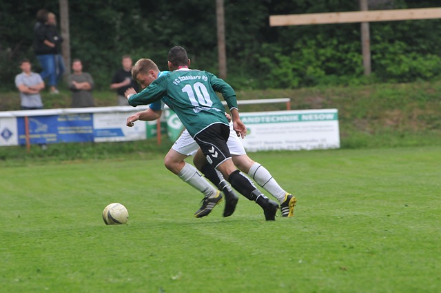 迅速融入球 迅速融入球