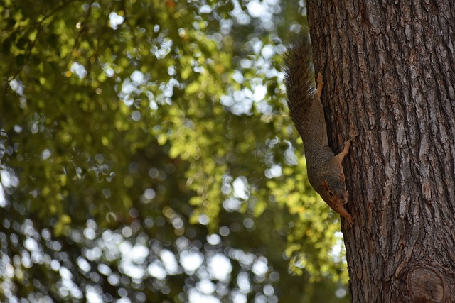 能发挥出自 能发挥出自
