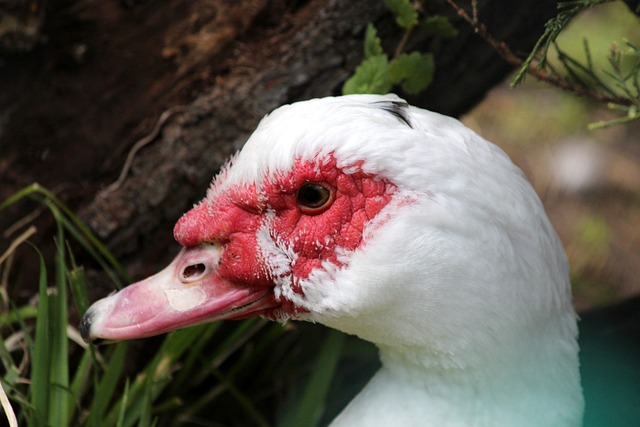 这不仅是一 这不仅是一