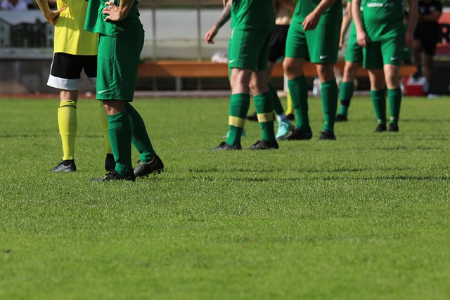 两人间的友 两人间的友