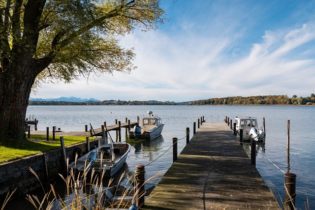 他在国际米 他在国际米