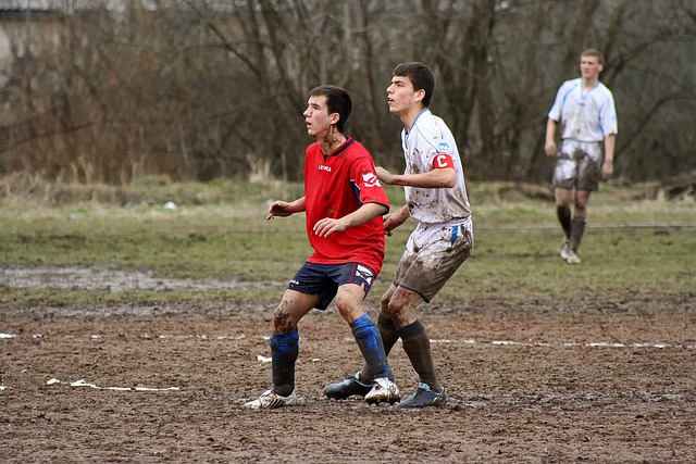 决定性因素 决定性因素