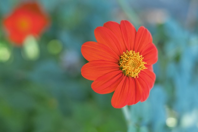 從結果到原 從結果到原