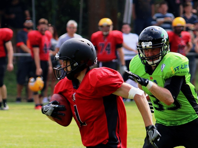 不应仅仅依 不应仅仅依